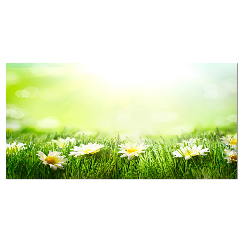 «Spring Meadow with Daisies», reproduction de photo sur toile, H 28 po x l 60 po