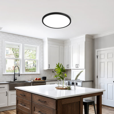 LED Flush Mount Ceiling Light Fixtures Black 12 in. 24 W Dimmable & 5CCT Ultra Thin Round Low Profile Ceiling Lamp