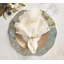 Lucent Placemat