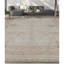 Hand Knotted Oriental Area Rug in Beige