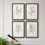 Simple Sprig I - ensemble de 4 reproductions de cadres photo-2075732642-2075732647