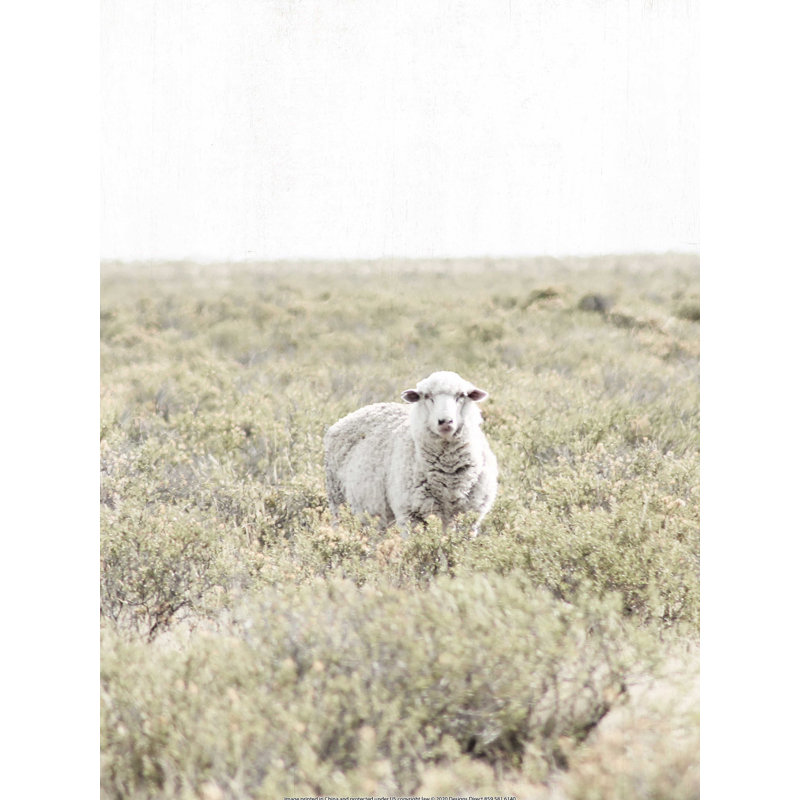 Mouton dans un champ, H 16 po x l 12 po