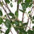 Faux Eucalyptus Tree in Pot-1699599811