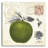 " Apple Notes " by Studio Mousseau-1919721017