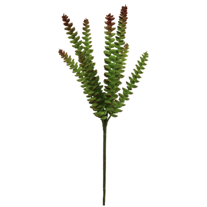Succulent artificiel