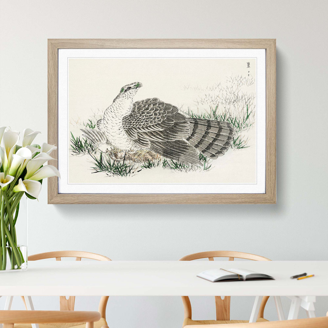 Japanese Hawk-Eagle by Numata Kashu - Framed Print