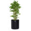 Grow Metal Planter-55818095-55818096