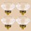 Paquet de boutons ovales surdimensionnés de 1,9 po de longueur