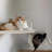 2pcs Wall Mounted Cat Bed Hammock