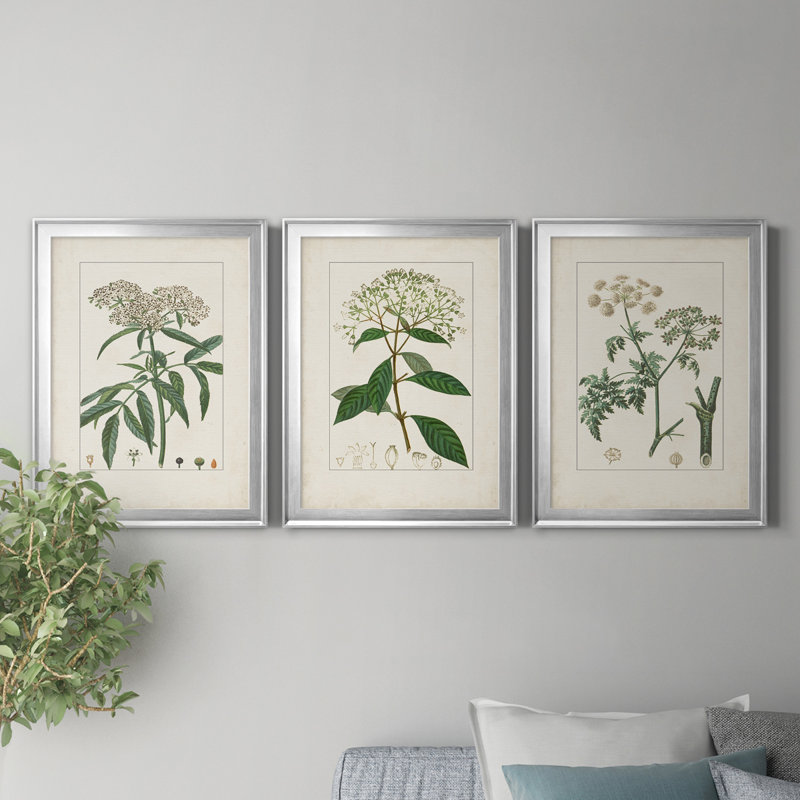 Antique Turpin Botanical VII - Ensemble de 3 peintures sur toile encadrées, H 30,5 po x l 127,5 po x P 4,5 po, Argent