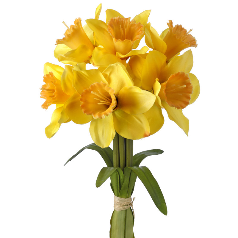 Daffodil Arrangement, Yellow