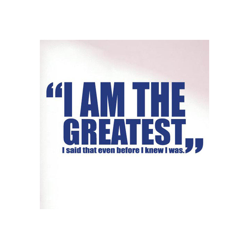 Non-Wall Damaging Wall Decal, Large, Dark Blue
