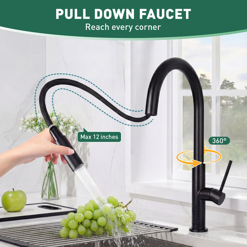 Robinet de cuisine avec douchette rétractable, robinets d'évier de cuisine à un trou, acier inoxydable 304, robinet à double fonction pour évier de ferme, noir