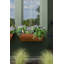 Cohen Window Box Planter