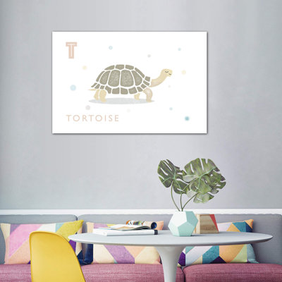 " Tortoise "