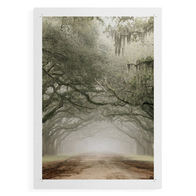 Plantation Drive -Canvas Print Only - NOT FRAMED
