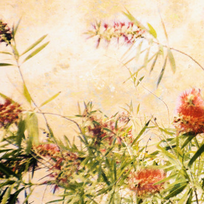 Bottle Brush III - Wrapped Canvas Print
