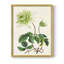 Reproduction d'art antique encadrée avec feuillets floraux - Bois massif-940872670