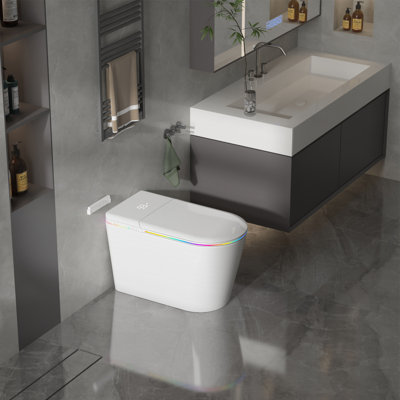 Smart Toilet With Child Seat, Dual Filters, Auto Flush, Bidet Wash, Heated Seat, Warm Air Dry, Adjustable Temperature & Pressure, Rgb Night Light, Led Display & Remote Control
