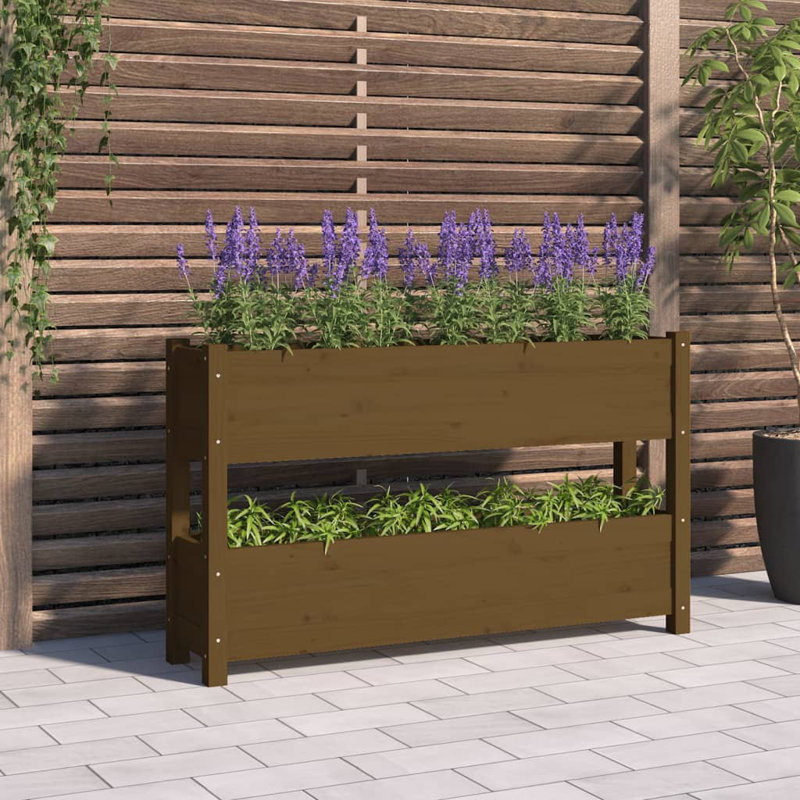 Vertical Garden, 66cm H x 112cm W x 25cm D