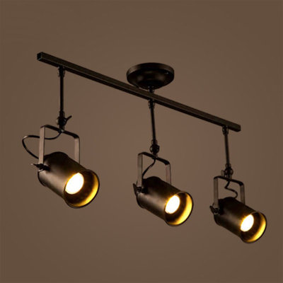 Lumière directionnelle et projecteur