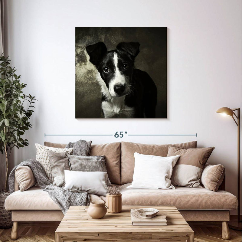 Brampt Border Collie Puppy, 39" H x 39" W