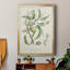 Antique Ammond Botanical IV, reproduction encadrée sur papier-88436193-88436189