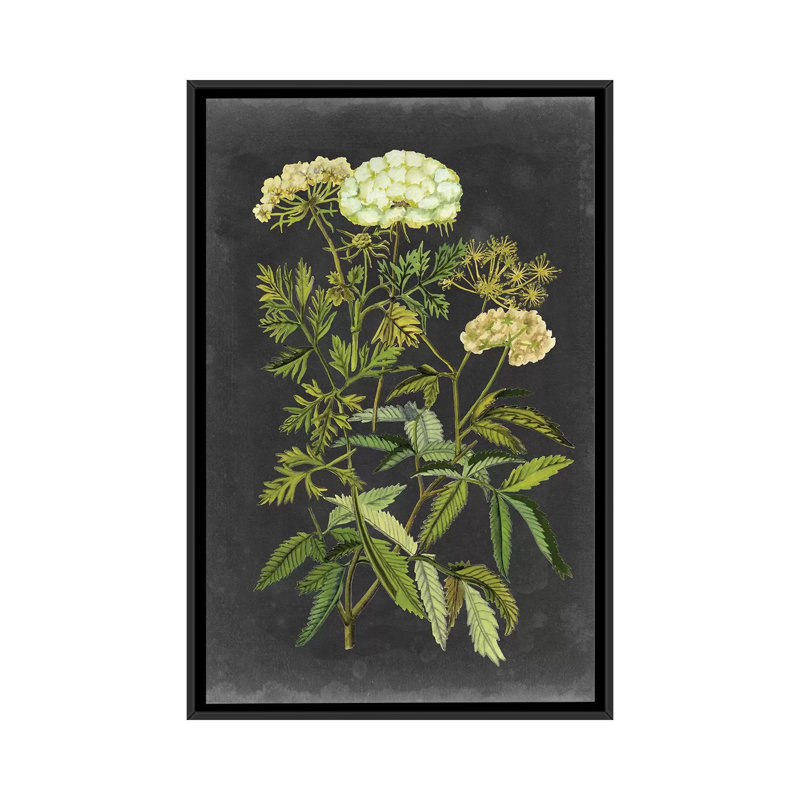 « bookplate floral i », impression sur toile, H 26 po x l 18 po x P 1,5 po, Toile avec cadre noir, Pas de tapis