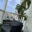 Customer photo 3 of 3