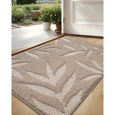 Washable Entryway Rug for Muddy Shoes