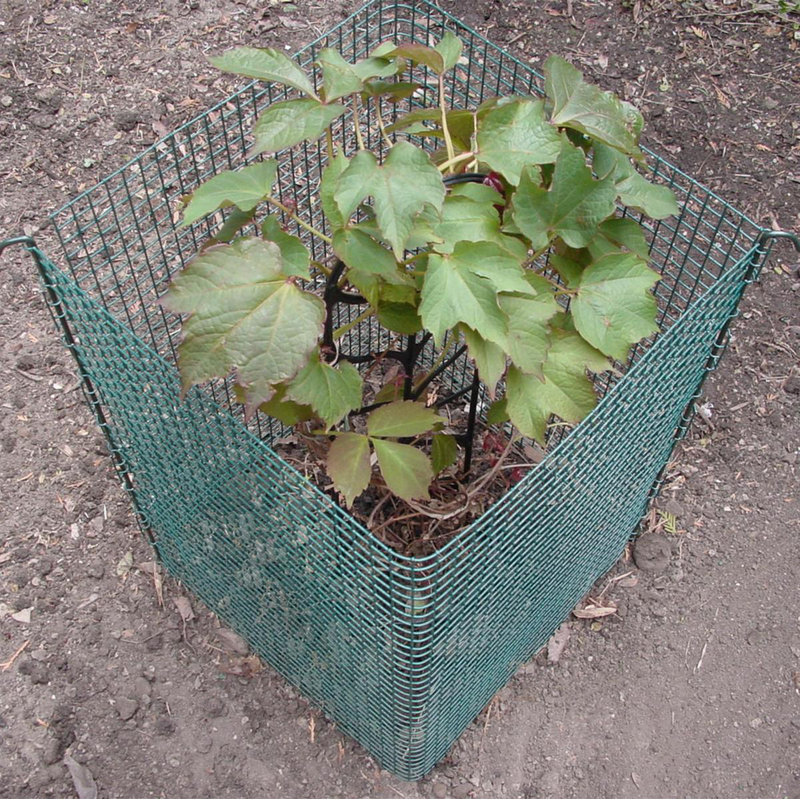 12 Foot Modular Garden Fence System