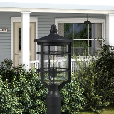 Delphine Seeded Lantern Head