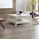 Weddel Basilico Coffee Table with Storage