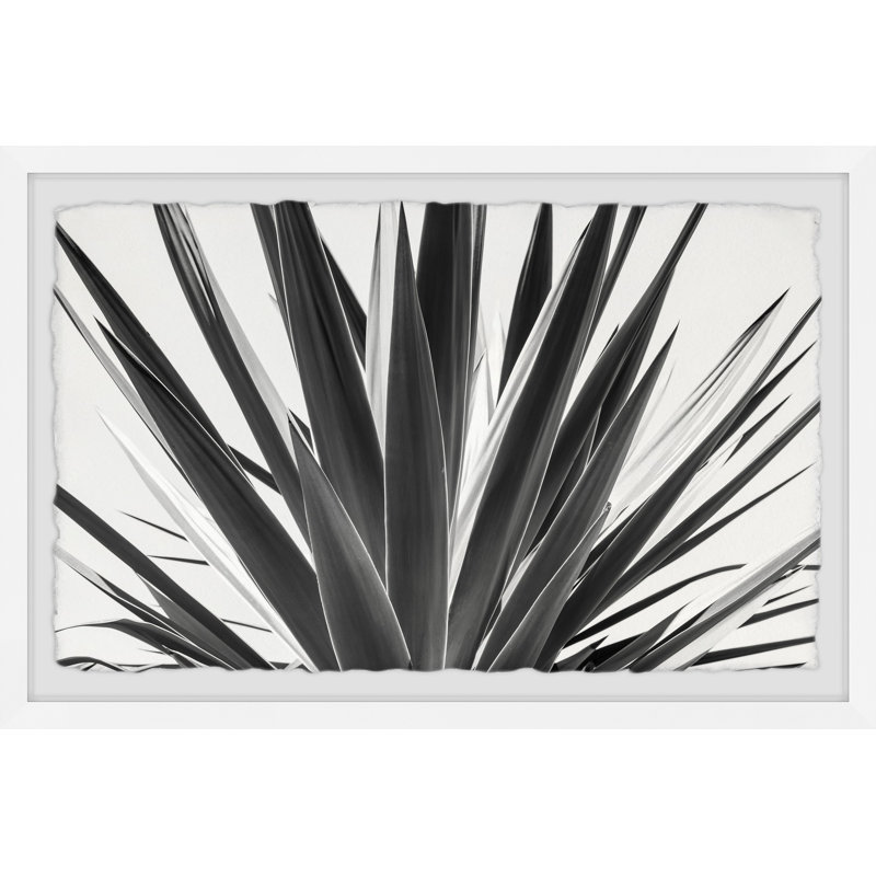 Sword Shaped Leaves - Single Picture Frame Painting, 61 cm H x 91 cm W