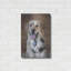 «Playtime» par Lori Deiter-1036925623
