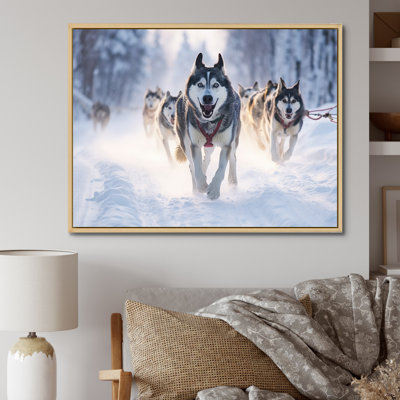 " Alaska Dog Sledding II "