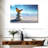 Butterfly Serenity-107699560