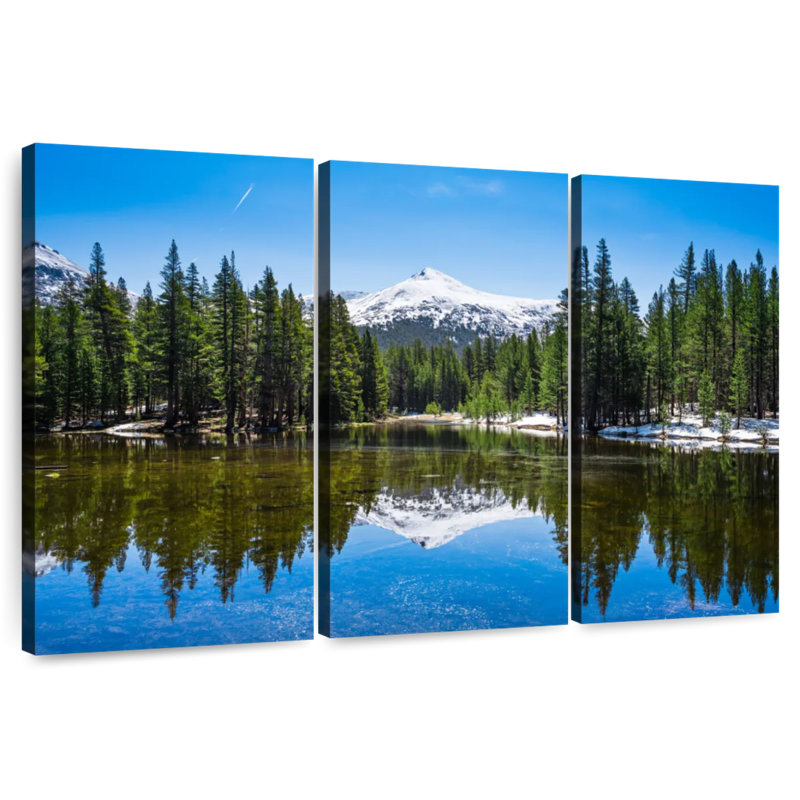 Alvord Yosemite après l'hiver, H 48 po x l 74 po