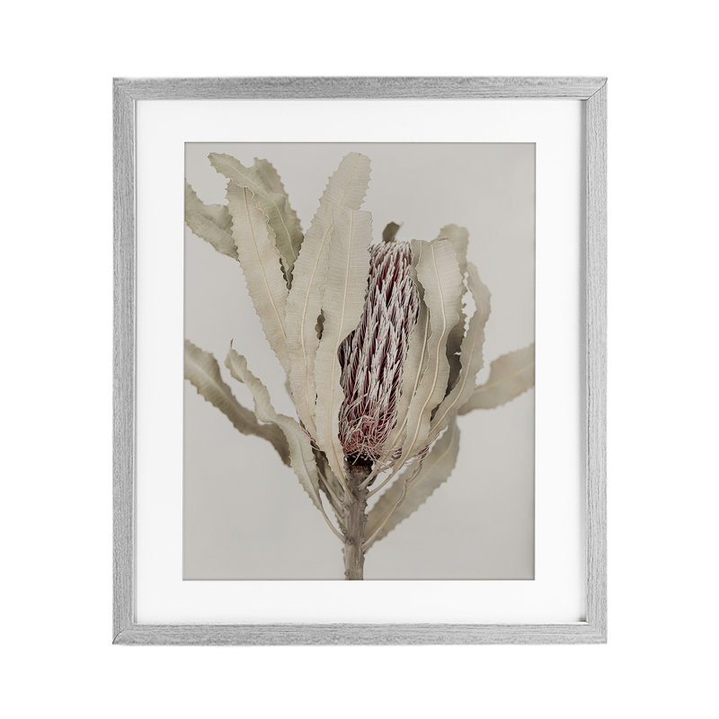 «Hidden Banksia Botanical Fronds», reproduction sous verre encadrée, design par Sissi et Seb, Cadre de ferme gris