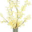 Blanched Eucalyptus Arrangement in Ceramic Jug