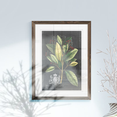 " Royal Foliage IV " by Paul Cezanne
