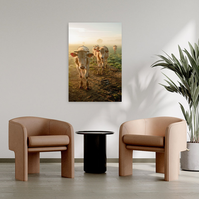 Misty Morning Cows by Anke Sol - Wrapped Canvas Print, 91.44 cm H x 60.96 cm W