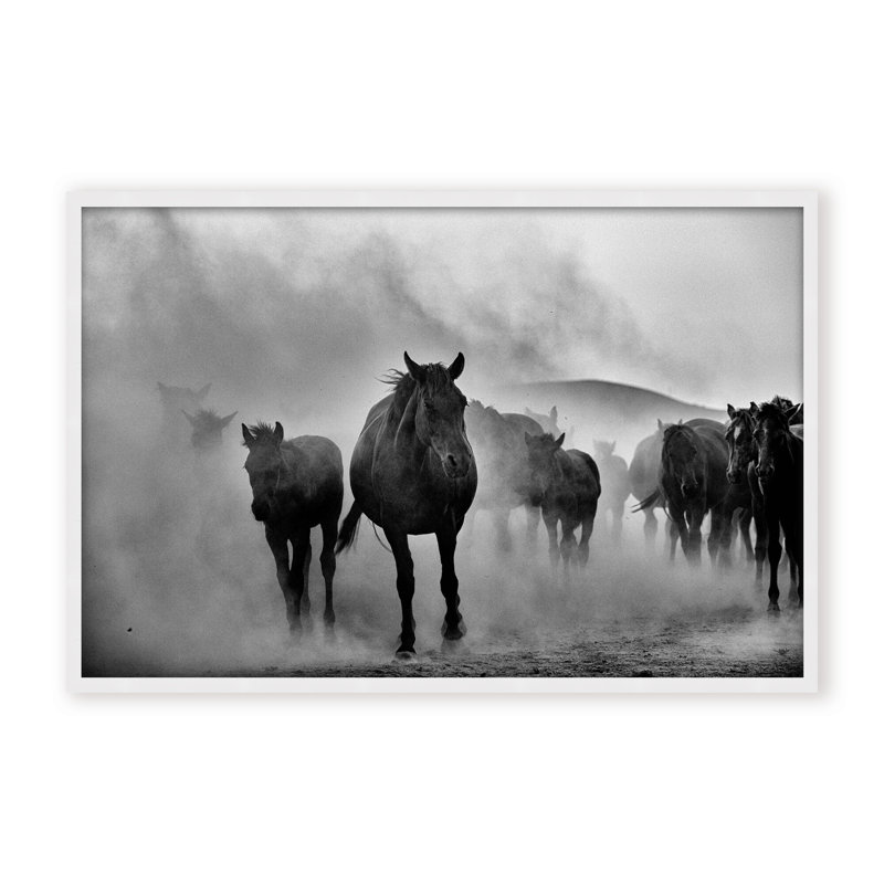 Nature Inspired Untitled by  - Picture Frame Photograph on Paper, 32" H x 48" W x 1.125" D, Black, Framed Matted Print