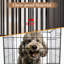 Table de bout pour chien 31,5 po