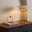 Annaie Metal Table Lamp