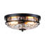 Raiven Clear Glass Flush Mount