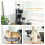 Cat Tree-119765482-119765495
