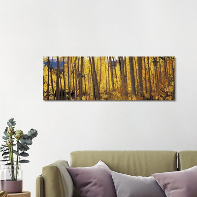 Aspen Trees In Autumn, Colorado, Usa #2 by Panoramic Images - Wrapped Canvas Print