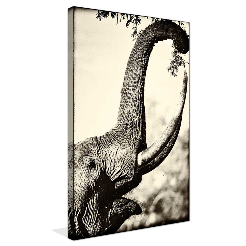 «Reaching High», reproduction de photo, H 30 po x l 18 po x P 1 po, Toile tendue