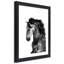 White Horse Galloping Animals - Single Picture Frame Print-825750857-825750853